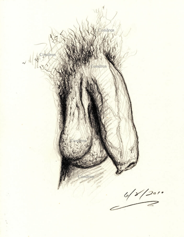 Penis Art Pen Ink Drawings And Watercolors Gay Fine Art