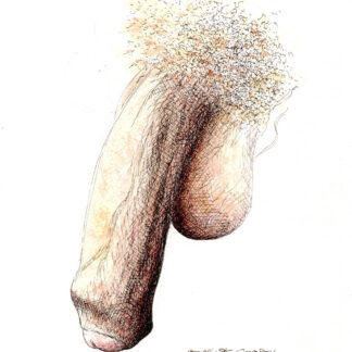 Pen & ink watercolor of a large uncut flaccid penis. The cock his very big with big hairy balls and thick veins on the shaft.