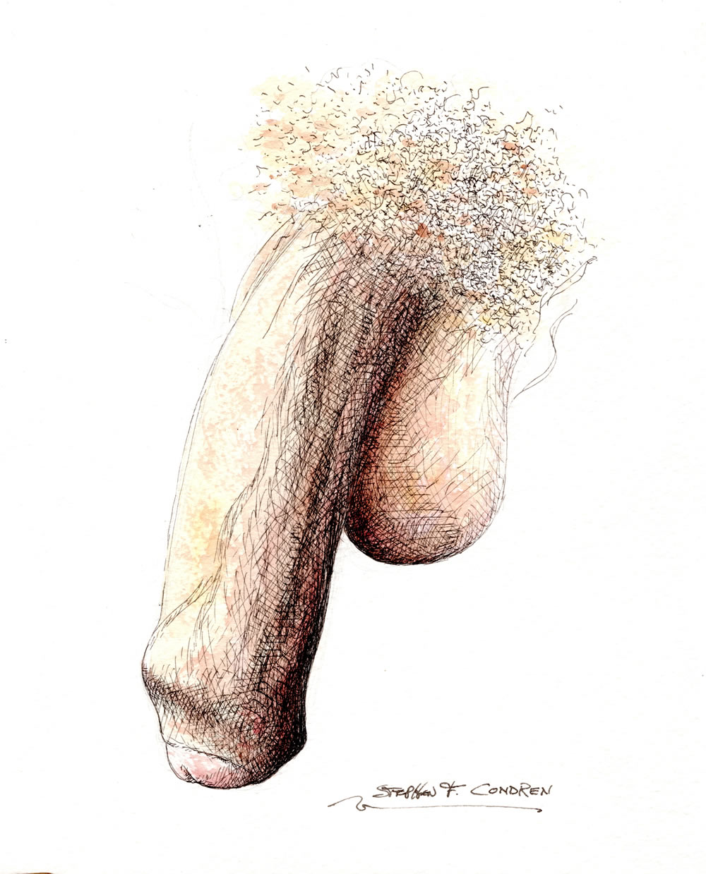 Pen & ink watercolor of a large uncut flaccid penis. The cock his very big with big hairy balls and thick veins on the shaft.
