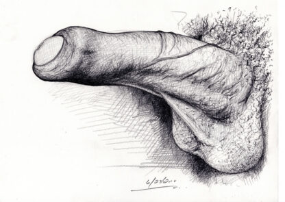 Pencil figure drawing of a large, erect, harry penis, and balls. The shaft of the cock is massive with thick veins all over it.