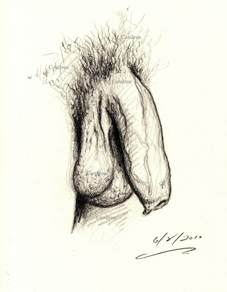Soft Cock With Hairy Balls Pencil Figure Drawing And Prints #220B