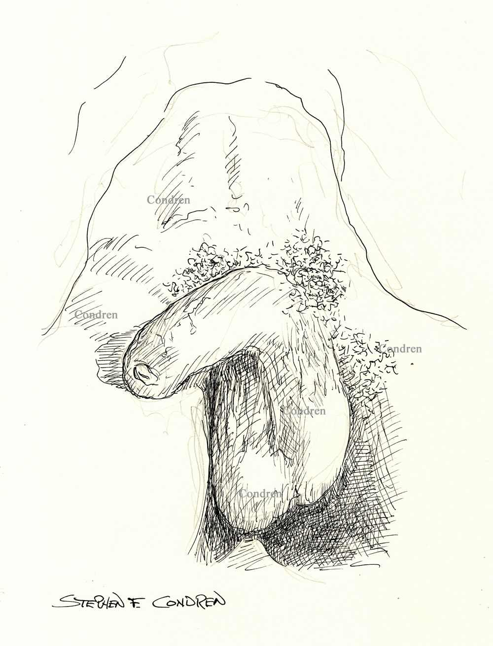 Pen & ink figure drawing of a soft (flaccid) uncut penis with huge hairy balls hanging between his legs.