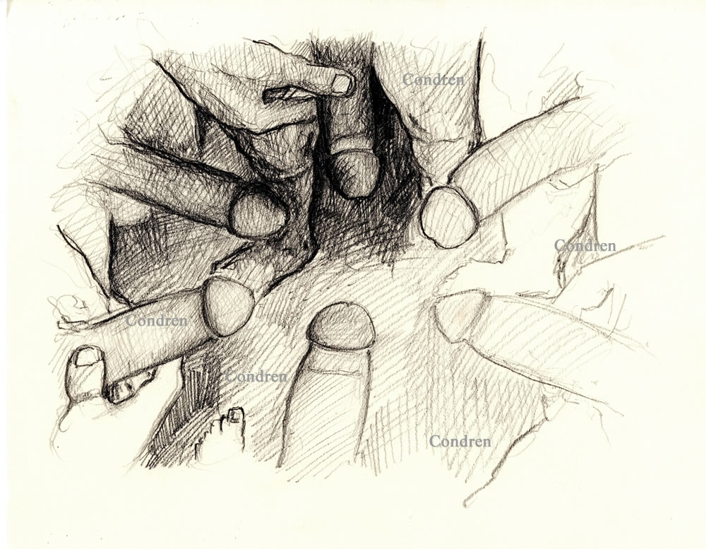 Pencil figure drawing of six penises in a circle for a gay bukkake orgy. The cocks have large veins running all over.