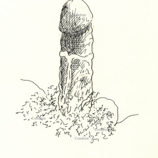 Pen & ink drawing of a large hardon cock that is standing erect. There are large veins all over the thick shaft of the cock.