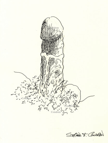 Pen & ink drawing of a large hardon cock that is standing erect. There are large veins all over the thick shaft of the cock.