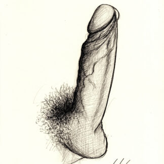 Pencil figure drawing of a hardon cock sticking straight up in the air with large veins on its thick shaft and big hairy balls.