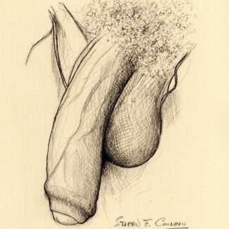 Pencil drawing of large penis with big hairy balls that is soft or flaccid. There are large veins all over the shaft of the cock.