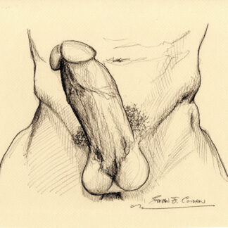Pencil drawing of a throbbing harry hardon penis. He has a hard body, muscular torso and a chiseled 6-pack set of abs.