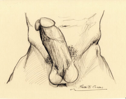 Pencil drawing of a throbbing harry hardon penis. He has a hard body, muscular torso and a chiseled 6-pack set of abs.