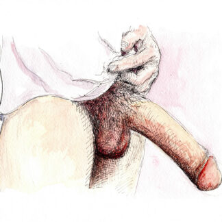 Pen & ink watercolor of a giant, throbbing hardon cock in T-shirt. The penis has huge hairy balls called low hangers.