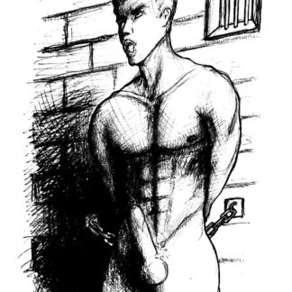 Pencil drawing of a fit young gay inmate chained to a prison wall with a big hardon cock. He is hot and muscular.