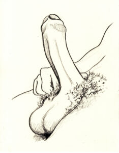 Penis Hardon With Big Hairy Balls Pencil Figure Drawing #202B