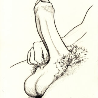 Pencil drawing of a hardon penis with large hairy balls. The cock has a nice curve to it as it bends upwards.