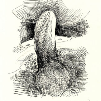 Pen & ink figure drawing of a hardon cock, with big hairy balls, fucking a hot boy in the ass.