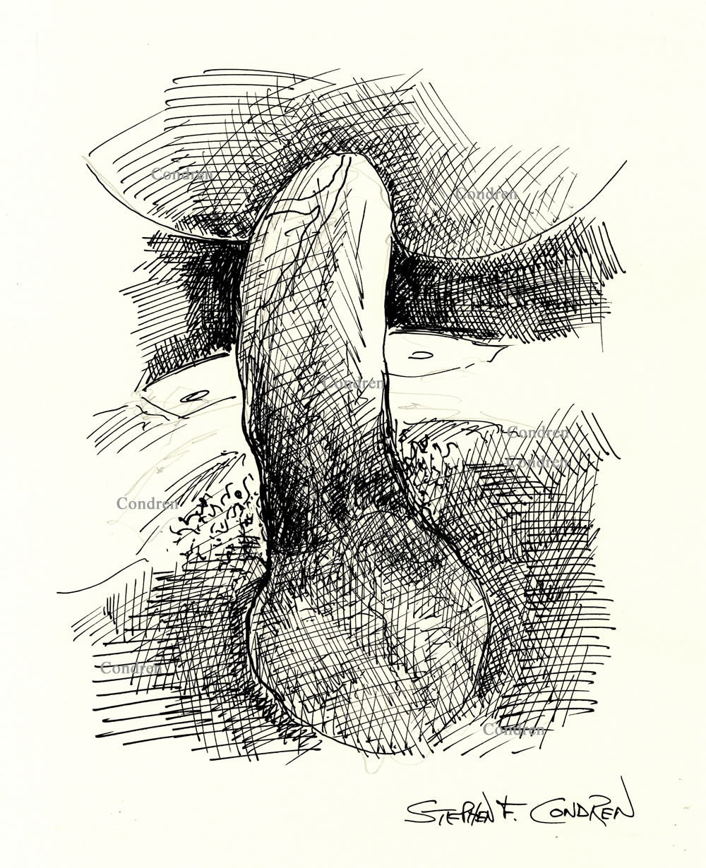 Pen & ink figure drawing of a hardon cock, with big hairy balls, fucking a hot boy in the ass.