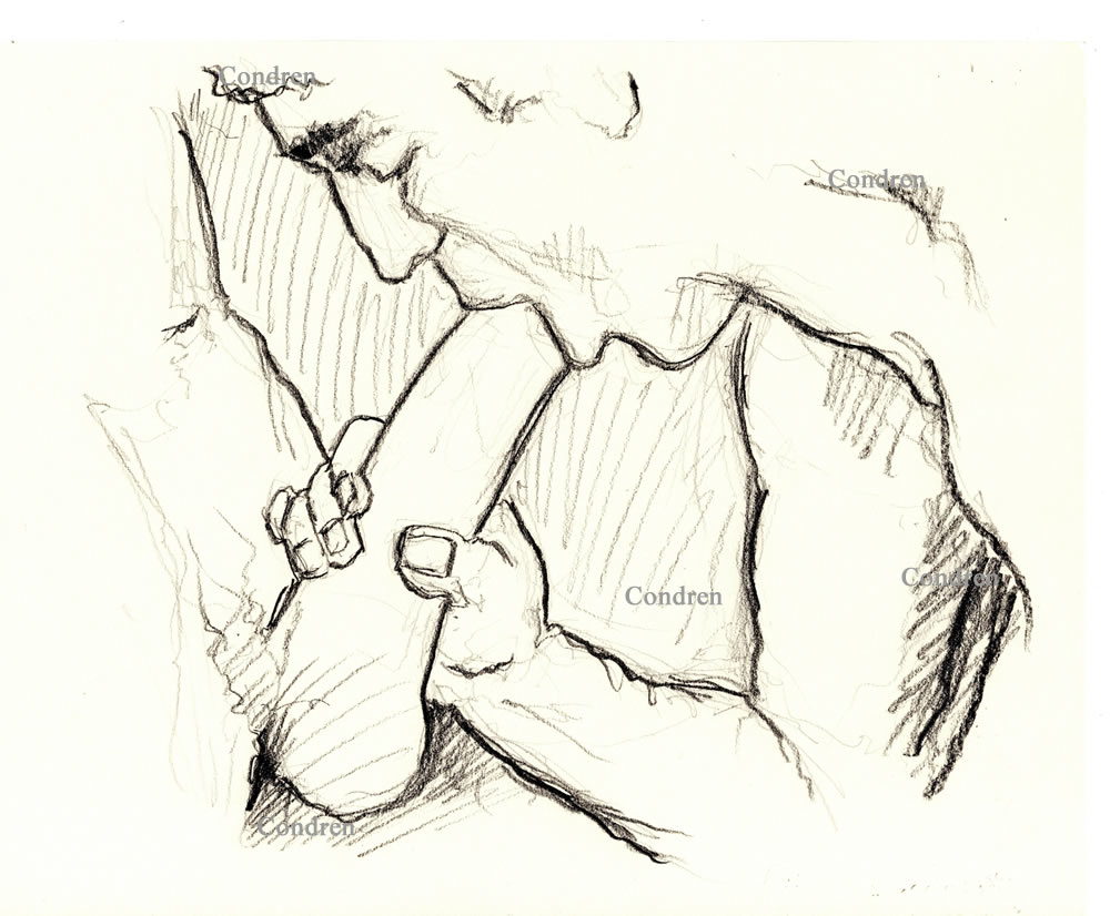 Pencil drawing of a hot gay boy sucking a big hairy dick. He has a muscular body with buff arms and cute face.