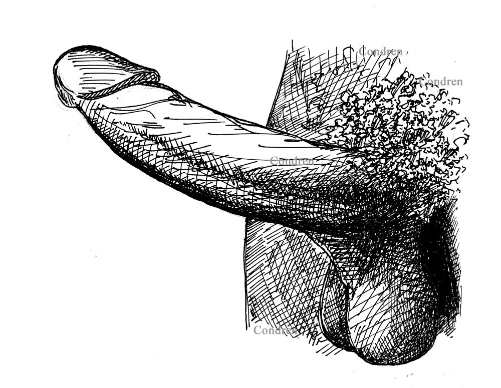 Pen & ink drawing of a big black cock (BBC). This massive penis had a lot of hair and big balls that are low hangers.