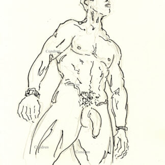 Pen & ink figure drawing of a muscular nude male with large cock. Masculine figure has a hard body and chiseled 6-pack abs.