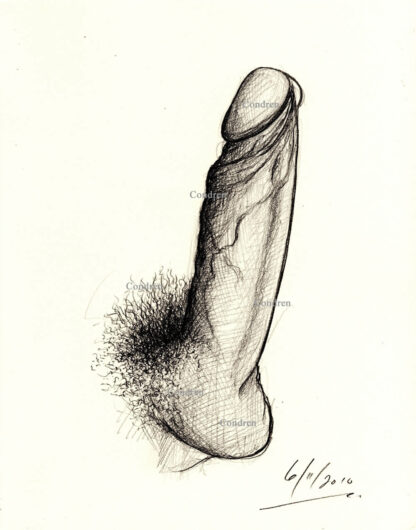 Pencil figure drawing of a hardon cock sticking straight up in the air with large veins on its thick shaft and big hairy balls.