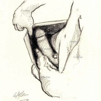 Pencil figure drawing of a hardon cock looking down into the underwear of a hot muscular boy with a 6-pack set of abs.