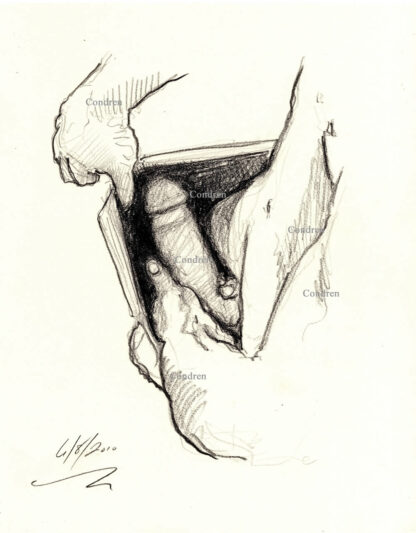 Pencil figure drawing of a hardon cock looking down into the underwear of a hot muscular boy with a 6-pack set of abs.