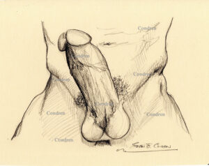 Hard dick on thighs shows a huge throbbing penis with an erection. This is a pencil drawing.