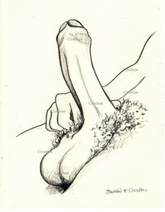 Hard-on cock and balls with hand touching the hair on his balls. Hard cock in t-shirt, gay pen & ink watercolor male figure drawing. 