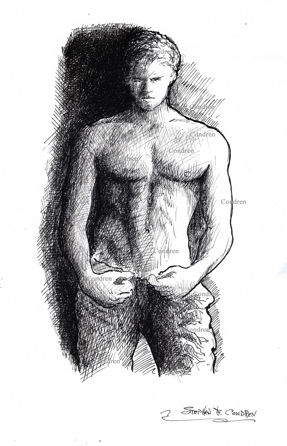 Shirtless male unbuckled with a chiseled torso and muscular body, gay male pen & ink figure drawing.