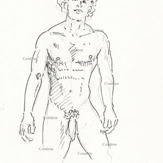 Naked male standing with big uncut cock and large hairy balls, gay pen & ink male figure drawing.