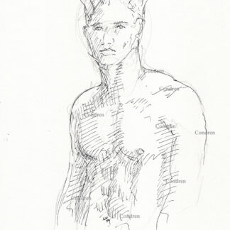 Shirtless male looking with a beautiful face and muscular torso, gay figure drawing. He has a chiseled chest with a 6-pack set of abs and firm pecs.